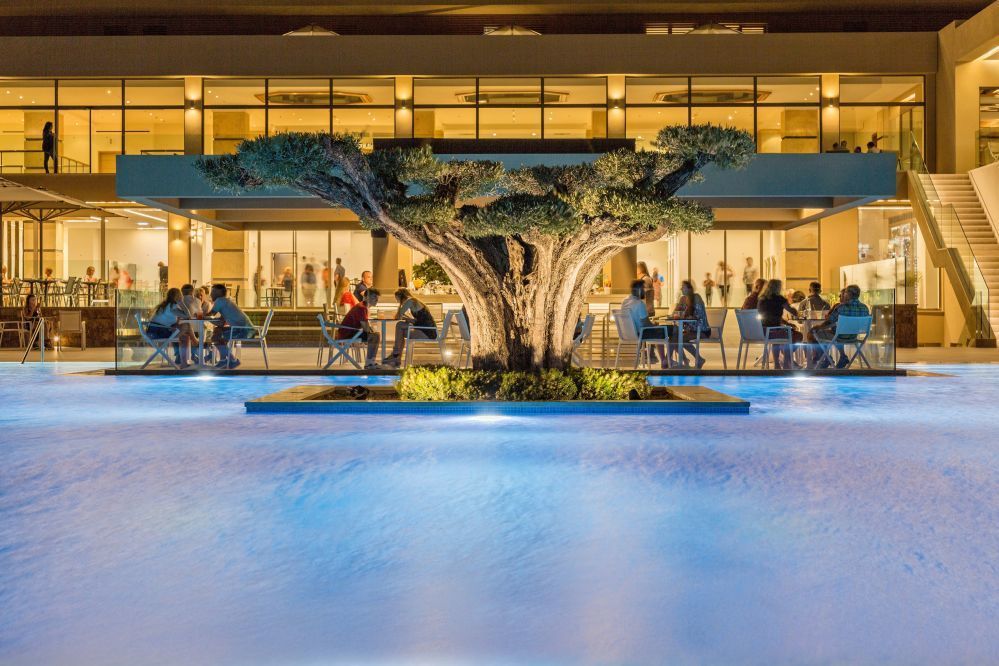 Louis Hotels - Amada Colossos Resort - Umgebung